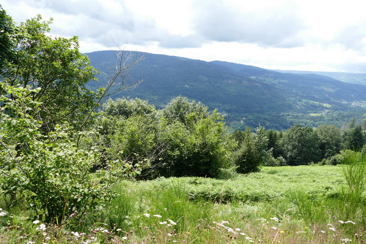 16. Les routes des Hautes-Vosges